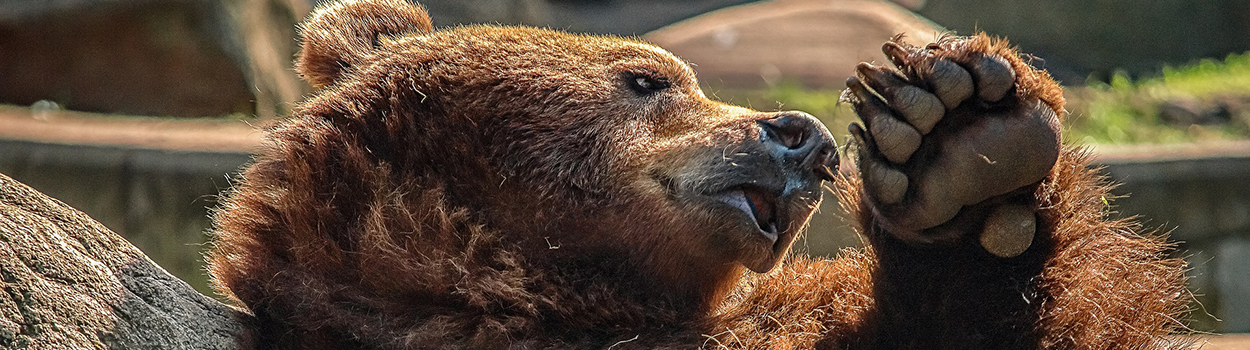 What to do during the correction, volatile bear market? Shall I sell or stay invested in shares?